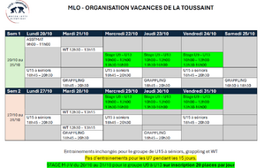 organisation vacances scolaire toussaint