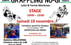 Stage grappling Montceau-les-Mines 
