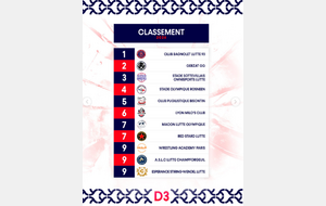 Championnat de France par équipe 3ème division