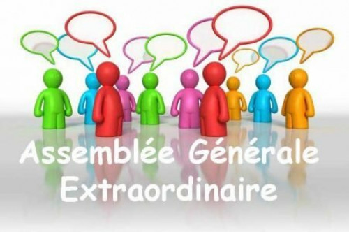 Assemblée Générale Extraordinaire