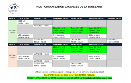 organisation vacances scolaire toussaint