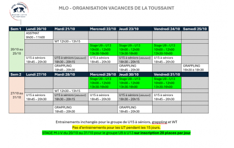 organisation vacances scolaire toussaint